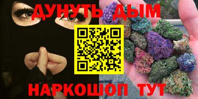 сатива Кудрово