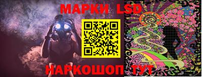 сатива Кудрово