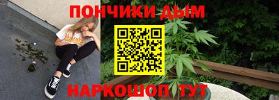 сатива Кудрово