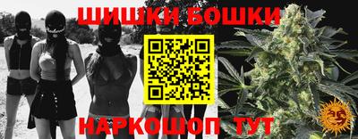 сатива Кудрово