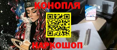 сатива Кудрово