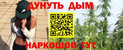 сатива Кудрово